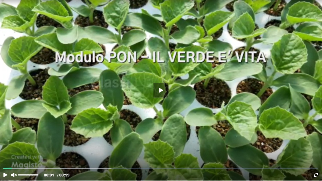 2023_PON il verde è vita_1.PNG