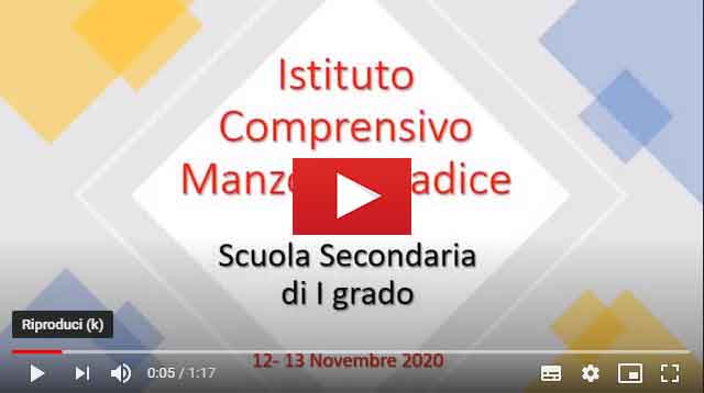 Cattura_Festa Scienza 2020.JPG