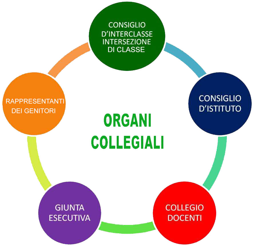 organi_collegiali.jpg