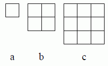 quadratini