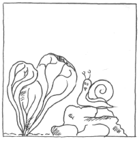 sec_sci3.gif